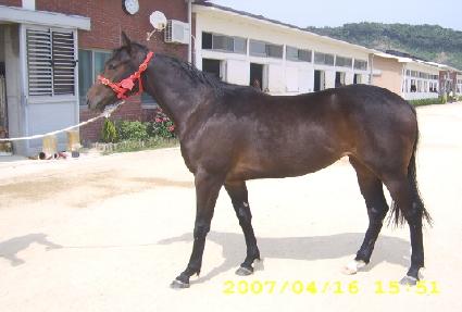 ��ƼǮ������ ����