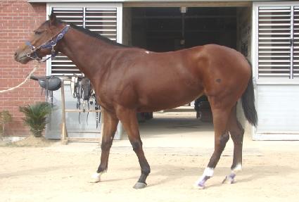 ĳġ�� ����