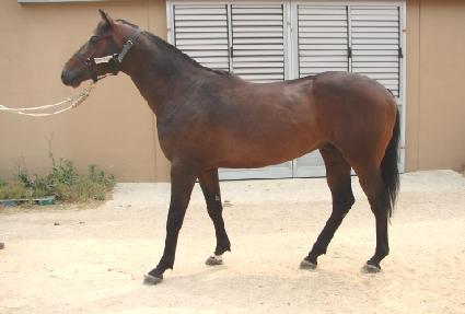 Ž�󿵿� ����