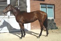 ���ֿ��� (JILJU YEOWANG) ����