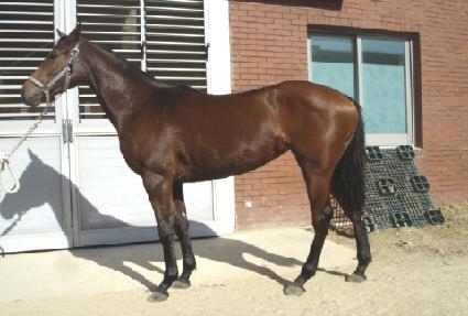 ���ֿ��� ����