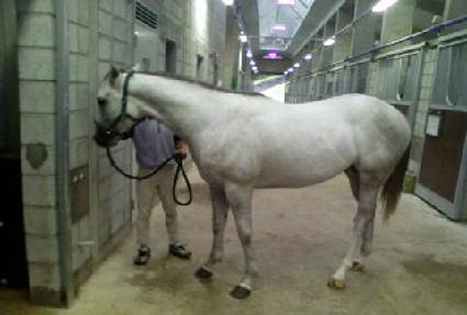 ������� ����