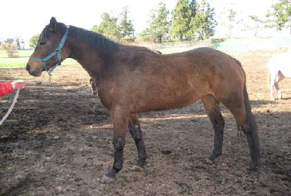 �����̴� ����