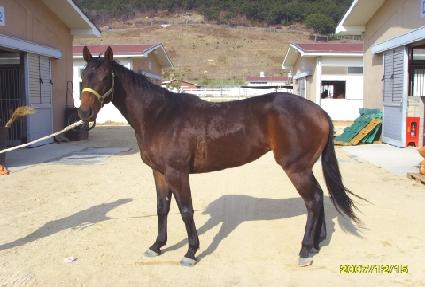 ���ĺ��� ����