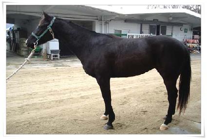 �������� ����