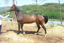 ȭ�� (HWAEUM) ����