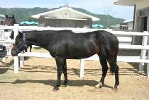 ��� (HEUKSU) ����