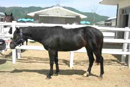 ��� ����