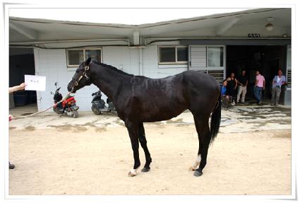 ������ ����