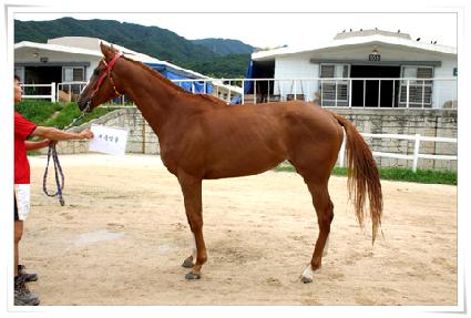 ������� ����