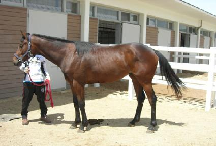 �̻��� ����