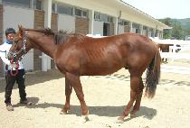 ���ڼ� (SAJASEONG) ����