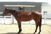 ��Ʈĭ (HUNT KHAN) ����