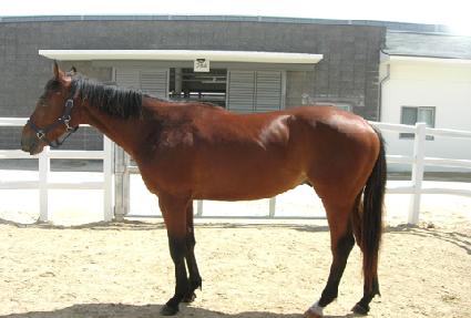 ��Ʈĭ ����