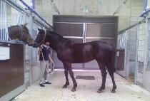 ����� (GWANMOBONG) ����