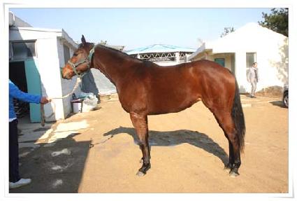 ����ô� ����