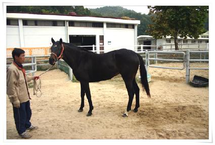 ��ո��� ����