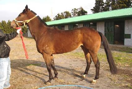 �ٶ��� ����