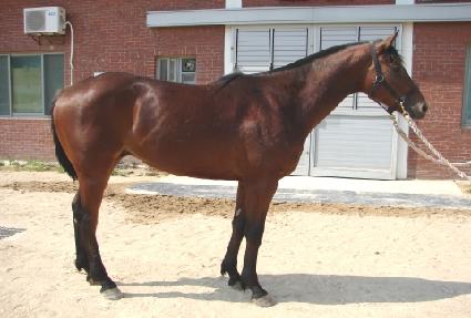 ���۰񸮾� ����