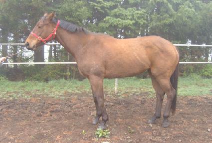 ��ʳ��� ����