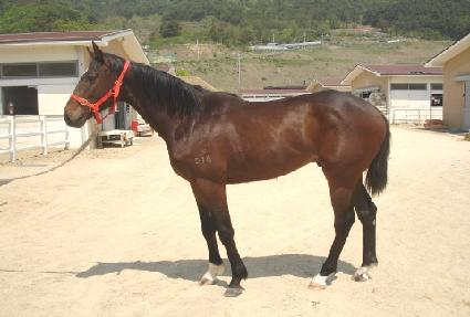 �������� ����