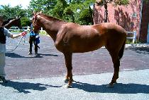 ũ���Ͽ콺 (CREEK HOUSE) ����