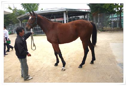 ũ���Į�� ����