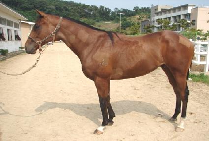 �ϵ���ġ ����