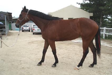 ç���� ����