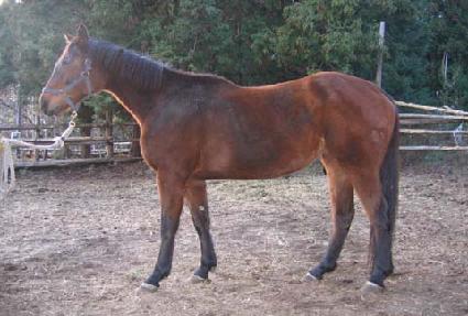 ��������̺� ����