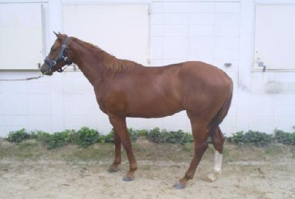 �׷���Ʈ��� ����