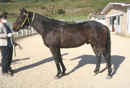 ������Ʈ ����