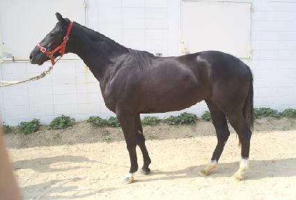 ���������� ����