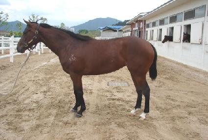 �ػ��� ����