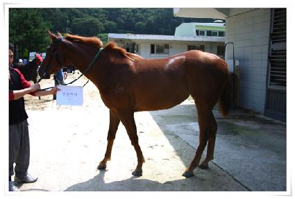 ���ѿ��� ����