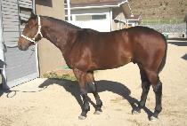 �̽��͹̵�� (MR. MEDIA) ����