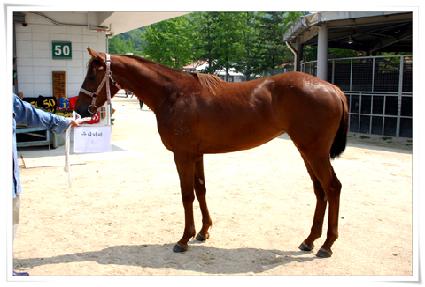 �츮���� ����