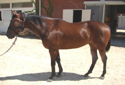 ������ ����