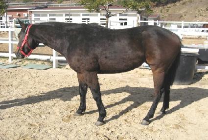 ī�������� ����