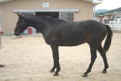 �����ǹ�Ģ ����