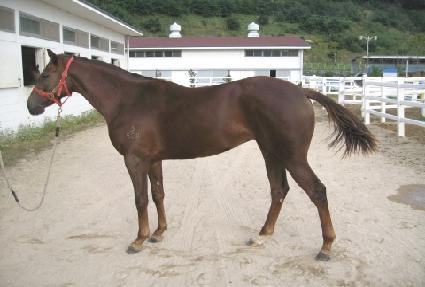 ������ ����