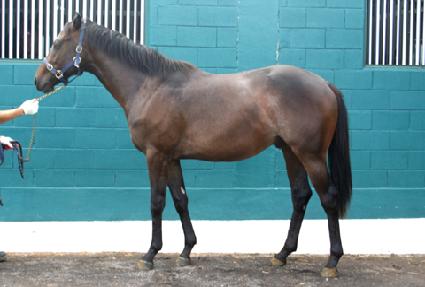 ī�캸�� ����