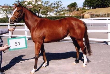 ��¼ҽ� ����