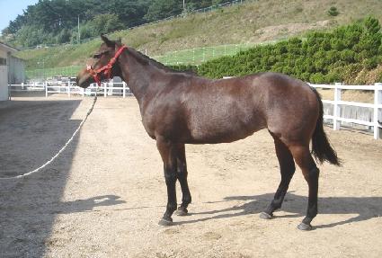 �������� ����