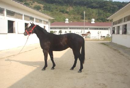 �������� ����