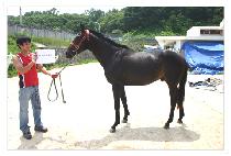 MR.VANCOUVER picture