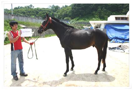 �̽��͹����� ����