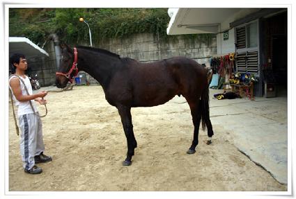 ���� ����