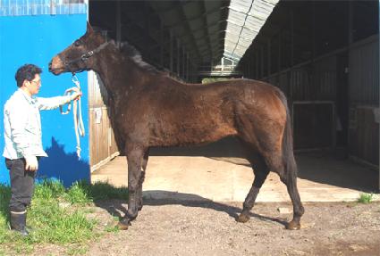 ��ġ���̼� ����