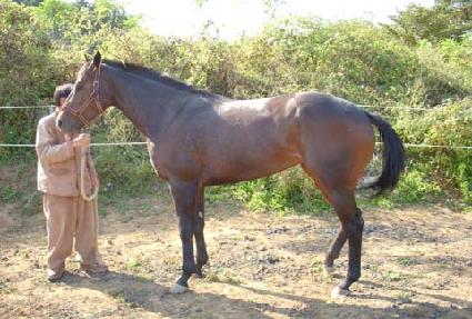 ��� ����